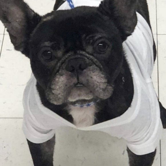 Meet your Posher, Tammy - Picture 1 of 1